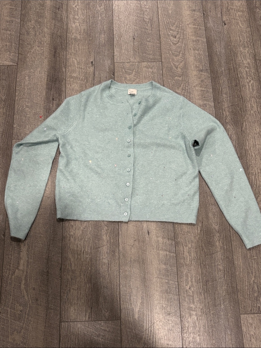 A new day bedazzled Mint Crewneck Button Sweater